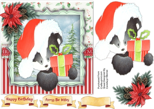 Badgers Christmas Presents 