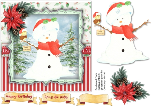 Snowman and Robin