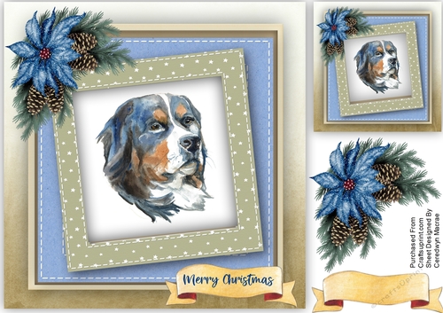 Christmas Sennenhund 
