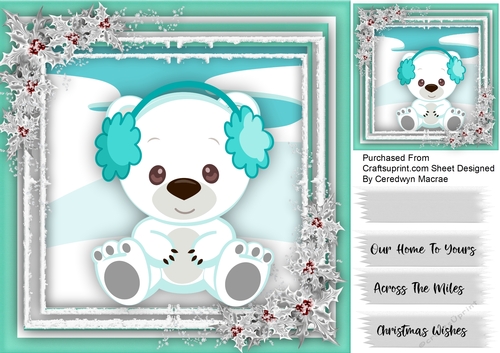 Cute Little Pola Bear