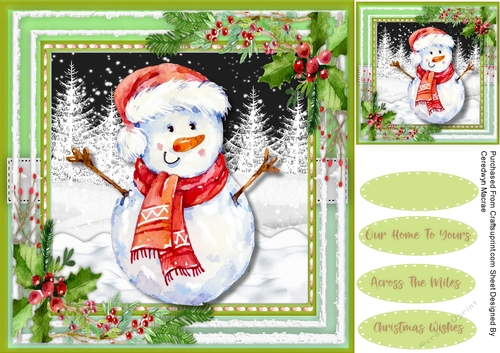 Snowman in Wooly Scarf