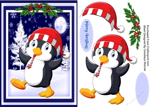 A5, Happy Penguin 1