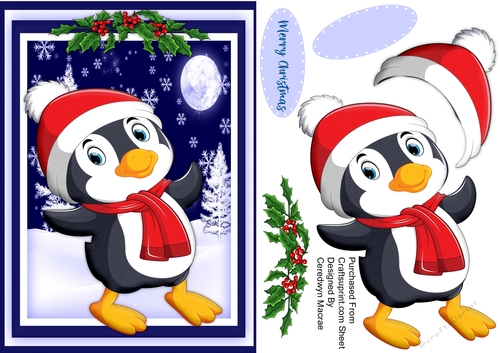 A5, Happy Penguin 3