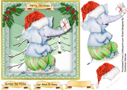 Ellies Christmas Parcel 