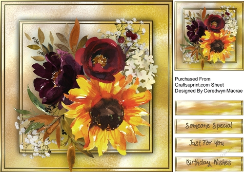 Beautiful Sunflower Blooms 