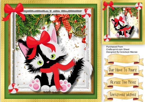 Cute Christmas Kitty in a Scarf