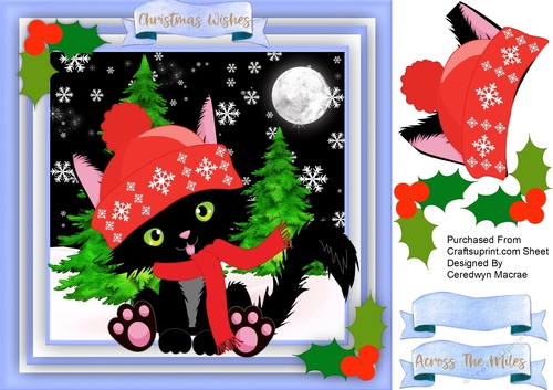 Kitty Cats Christmas 