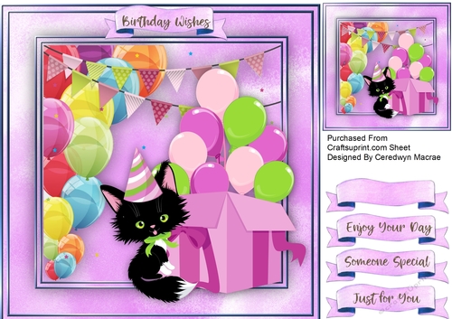 Lucky Black Birthday Cat 1