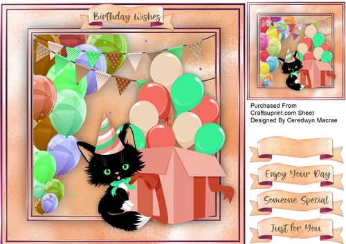 Lucky Black Birthday Cat 2