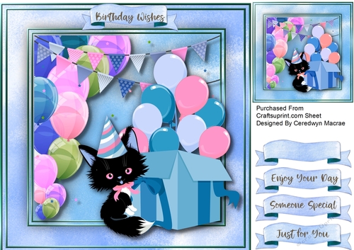 Lucky Black Birthday Cat 3