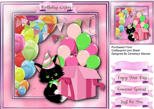 Lucky Black Birthday Cat 4
