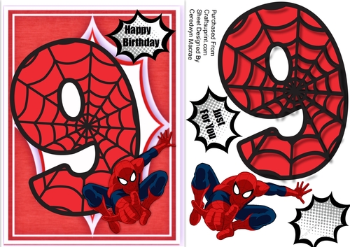 Spidermans 9th Birthday
