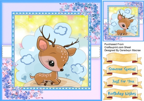Gorgeous Baby Deer