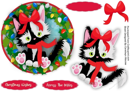 Gorgeous Christmas  Kitty