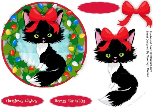 Gorgeous Christmas  Kitty 3