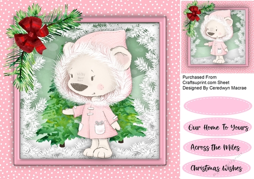 Gorgeous Christmas  Queen  Bear