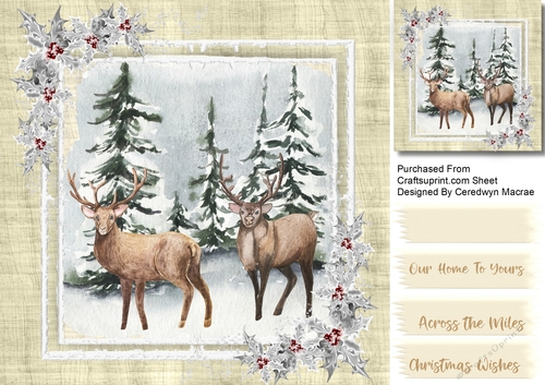 Stags in the Snow