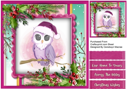 Cute Owl in a Santa Hat