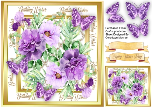 Beautiful Passion and Butterflies 