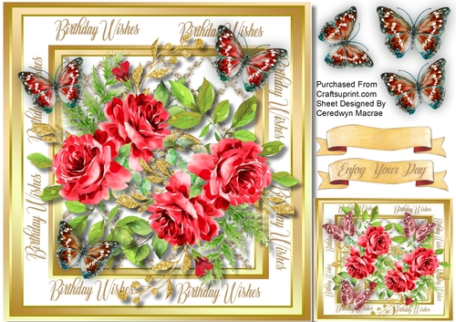 Ravishing Red Roses and   Butterflies