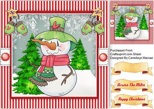 frostys Christmas Hat
