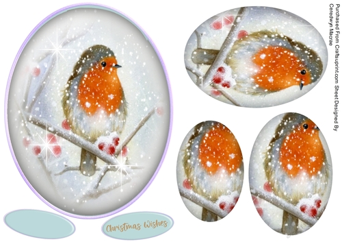 Lovely Robin on a  Oval Pyramid Mat