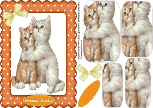 Beautiful Love Me Kittys 