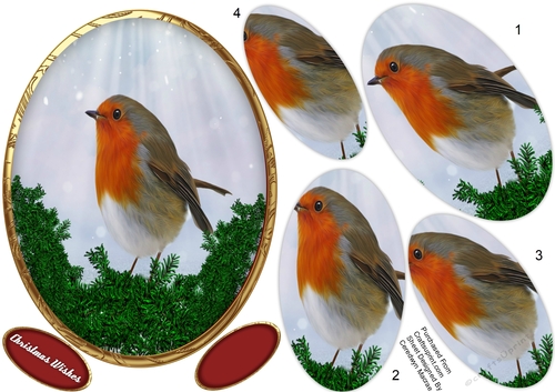 Beautiful Christmas Robin, Pyramid 
