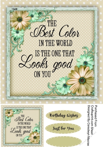 Beautiful Daisys and Quote 4