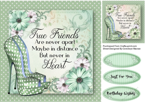 Beautiful Polka shoes and Quote 3