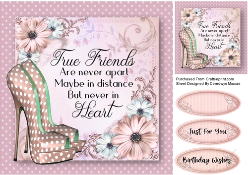 Beautiful Polka shoes and Quote 4
