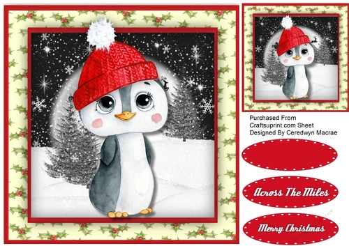 Gorgeous Penguin in Woolly Hat 