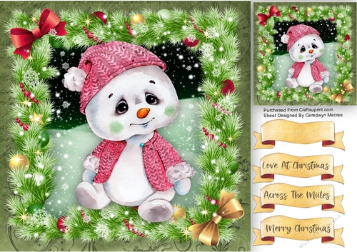 Gorgeous Baby Pola Bear 2