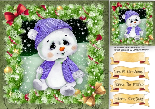Gorgeous Baby Pola Bear 4
