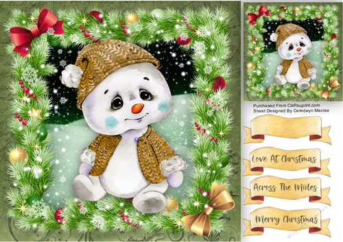 Gorgeous Baby Pola Bear 5