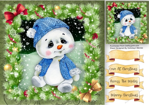 Gorgeous Baby Pola Bear 6