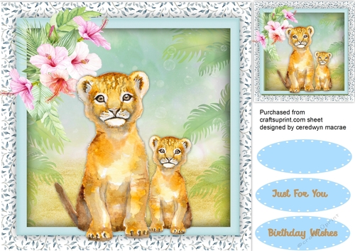 two of a Kind 1