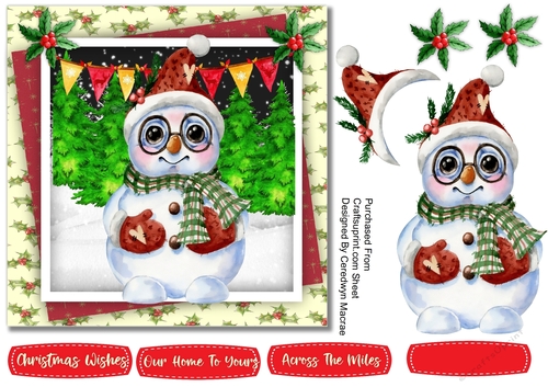 Mr Snowmans new Glasses