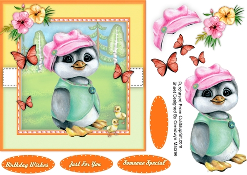 Beautiful Penguin and Butterflys
