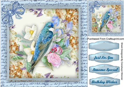 Beautiful Birds and Diamonti Bow 