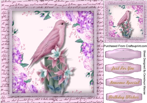 Beautiful Birds on a Branch 