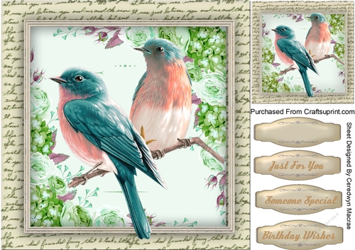 Beautiful Bird on a Branch 