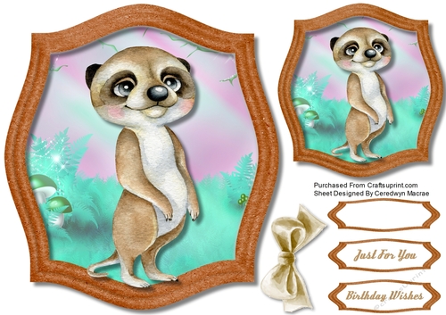 Proud Meercat Willie 