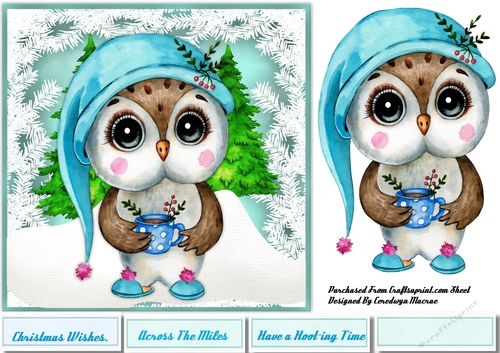 Owls Cup of Cocoa 