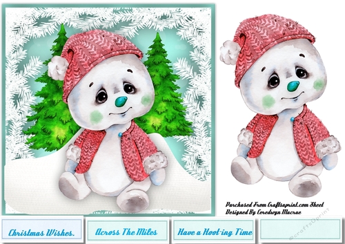 Polar Bears Red Suit