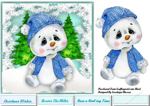 Polar Bears Winter  Suit