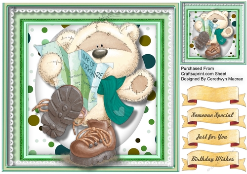 The Travelling Bear