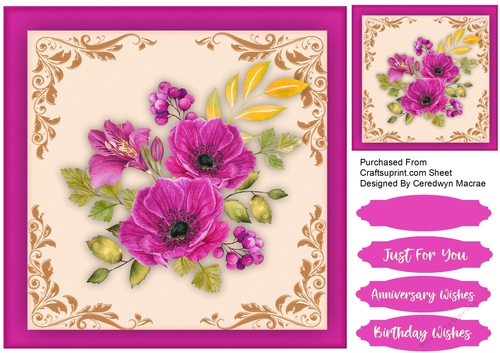 Stunning Mauve Anemonies 