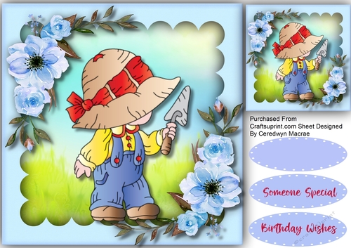 Little Bonnett Boy 2