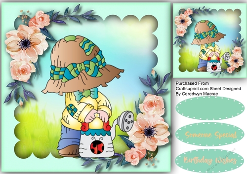Little Bonnett Boy 3